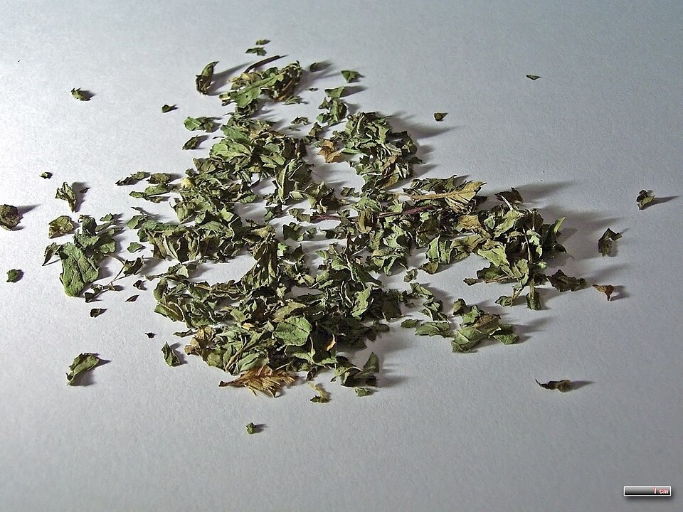 File:Menthae piperitae folium 008182.jpg