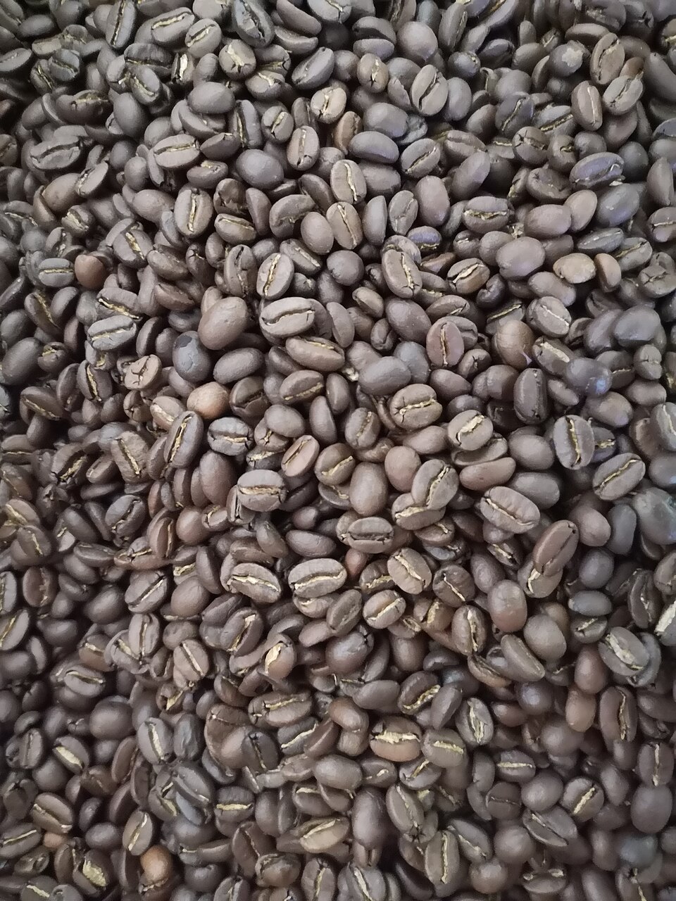 File:Roasted arabica coffee beans Minca.jpg
