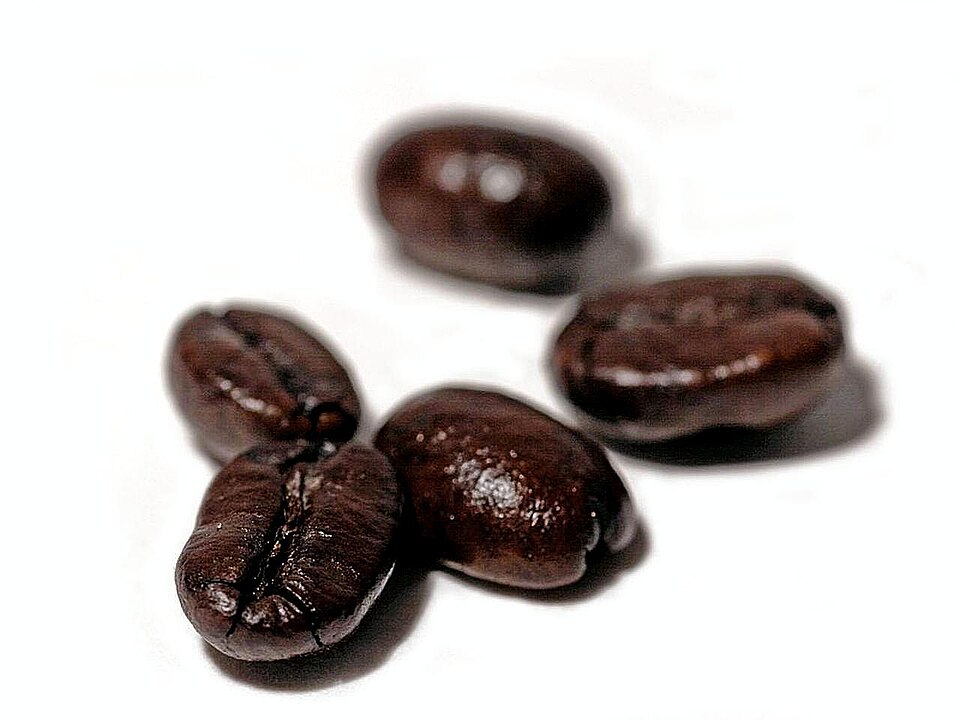 File:Coffee beans photo.jpg