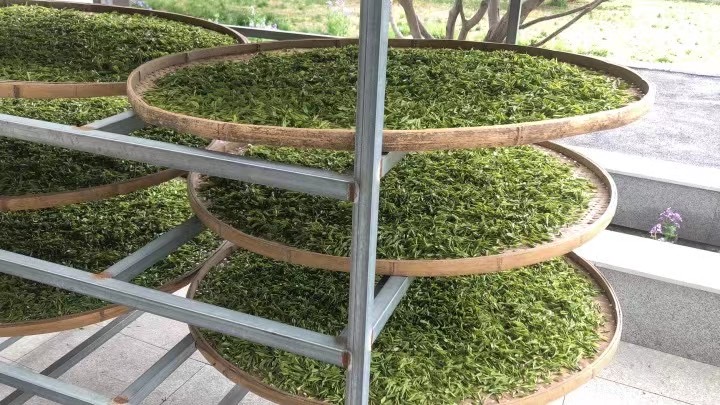 File:Longjing tea 12.jpg
